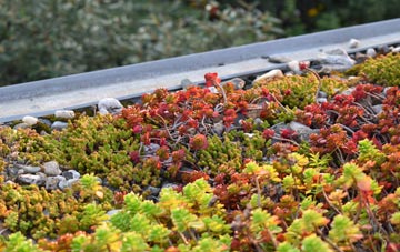 the cost of Synton green roof installation