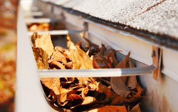 Synton gutter cleaning companies