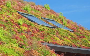 Synton living roof systems