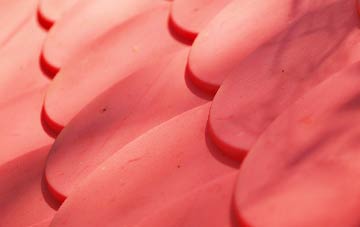 Synton plastic roof costs